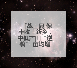 战三夏 保丰收丨新乡：中低产田“逆袭” 亩均增产15%