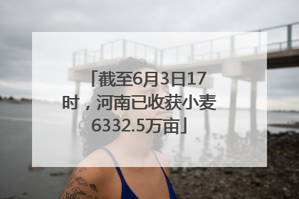截至6月3日17时，河南已收获小麦6332.5万亩