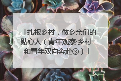 扎根乡村，做乡亲们的贴心人（青年观察·乡村和青年双向奔赴③）