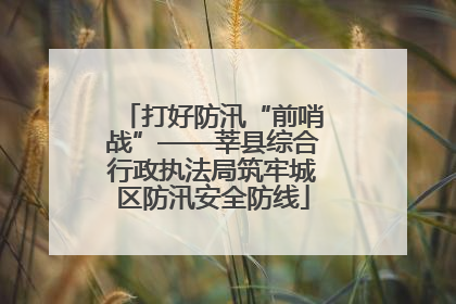 打好防汛“前哨战”——莘县综合行政执法局筑牢城区防汛安全防线