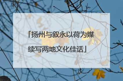 扬州与叙永以荷为媒续写两地文化佳话