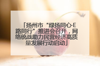扬州市“绿扬同心·E路同行”推进会召开，网络统战助力民营经济高质量发展行动启动