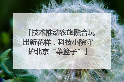 技术推动农旅融合玩出新花样，科技小院守护北京“菜篮子”