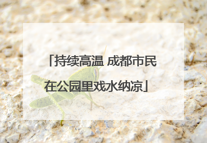 持续高温 成都市民在公园里戏水纳凉