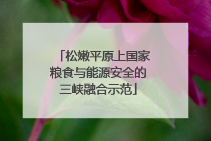 松嫩平原上国家粮食与能源安全的三峡融合示范