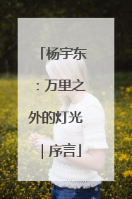 杨宇东：万里之外的灯光｜序言