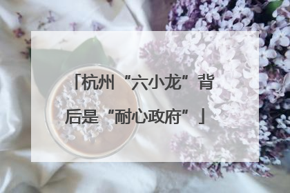 杭州“六小龙”背后是“耐心政府”