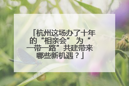 杭州这场办了十年的“相亲会” 为“一带一路”共建带来哪些新机遇？