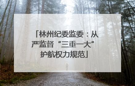 林州纪委监委：从严监督“三重一大” 护航权力规范