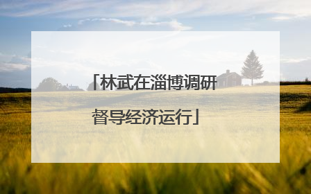 林武在淄博调研督导经济运行