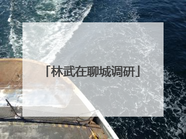林武在聊城调研