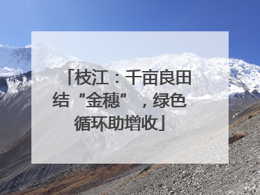 枝江：千亩良田结“金穗”，绿色循环助增收