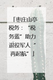 枣庄山亭税务：“税务蓝”助力退役军人“再起航”
