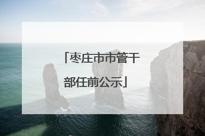 枣庄市市管干部任前公示