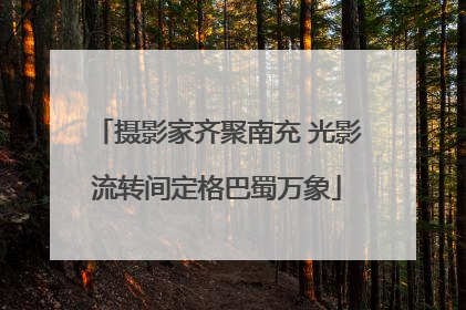 摄影家齐聚南充 光影流转间定格巴蜀万象