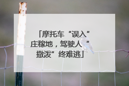 摩托车“误入”庄稼地，驾驶人“撒泼”终难逃