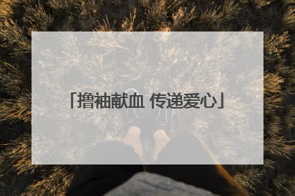 撸袖献血 传递爱心