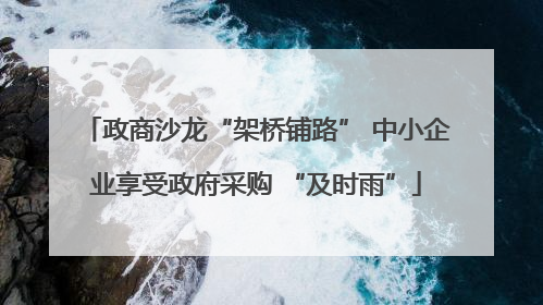 政商沙龙“架桥铺路” 中小企业享受政府采购 “及时雨”