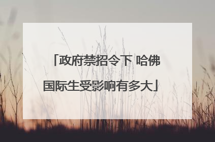 政府禁招令下 哈佛国际生受影响有多大