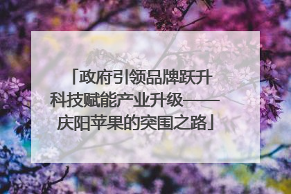 政府引领品牌跃升 科技赋能产业升级——庆阳苹果的突围之路