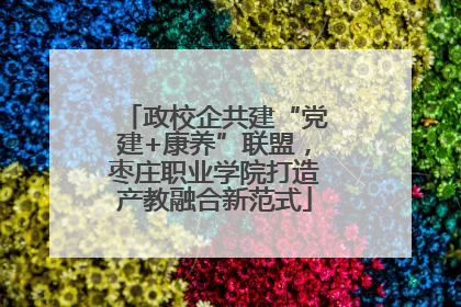 政校企共建“党建+康养”联盟，枣庄职业学院打造产教融合新范式