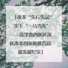 改革“先行先试” 实干“一马当先”——菏泽鲁西新区深化改革创新助推高质量发展纪实