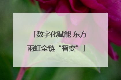 数字化赋能 东方雨虹全链“智变”