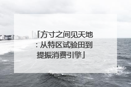 方寸之间见天地：从特区试验田到提振消费引擎