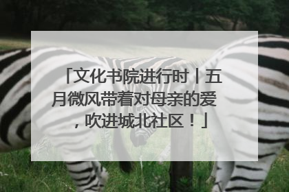 文化书院进行时丨五月微风带着对母亲的爱，吹进城北社区！