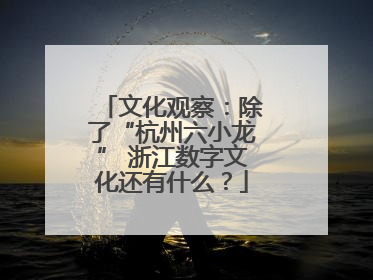 文化观察：除了“杭州六小龙” 浙江数字文化还有什么？