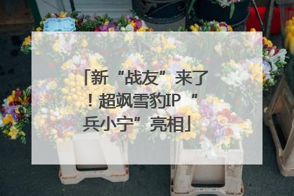 新“战友”来了！超飒雪豹IP“兵小宁”亮相