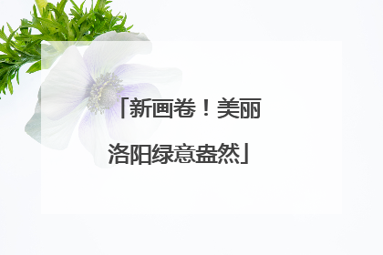 新画卷！美丽洛阳绿意盎然