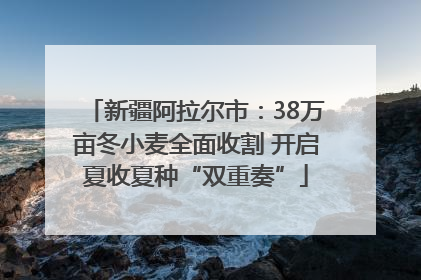 新疆阿拉尔市：38万亩冬小麦全面收割 开启夏收夏种“双重奏”