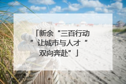 新余“三百行动”让城市与人才“双向奔赴”