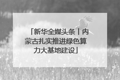 新华全媒头条丨内蒙古扎实推进绿色算力大基地建设