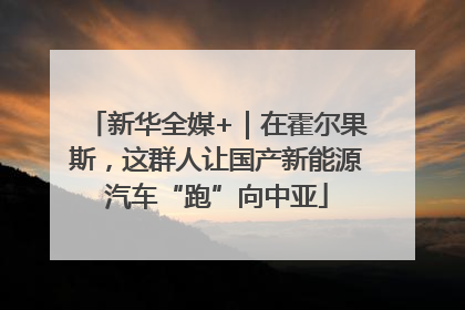 新华全媒+｜在霍尔果斯，这群人让国产新能源汽车“跑”向中亚