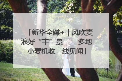 新华全媒+｜风吹麦浪好“丰”景——多地小麦机收一线见闻