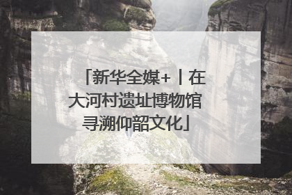 新华全媒+丨在大河村遗址博物馆寻溯仰韶文化