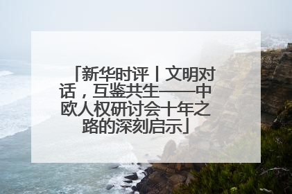 新华时评丨文明对话，互鉴共生——中欧人权研讨会十年之路的深刻启示