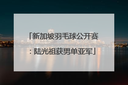 新加坡羽毛球公开赛：陆光祖获男单亚军