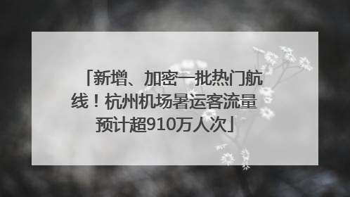 新增、加密一批热门航线！杭州机场暑运客流量预计超910万人次