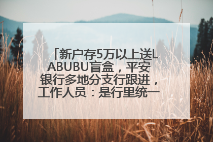 新户存5万以上送LABUBU盲盒，平安银行多地分支行跟进，工作人员：是行里统一的，进货渠道不清楚