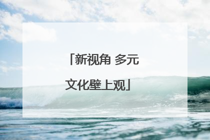 新视角 多元文化壁上观