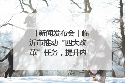 新闻发布会｜临沂市推动“四大改革”任务，提升内部审计监督效能
