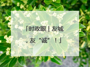 时政眼｜友城，友“诚”！