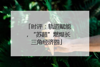 时评：轨道赋能，“苏超”燃爆长三角经济圈