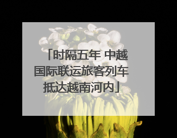 时隔五年 中越国际联运旅客列车抵达越南河内