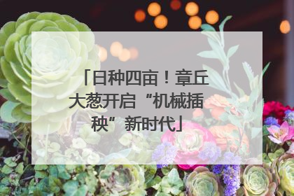 日种四亩！章丘大葱开启“机械插秧”新时代