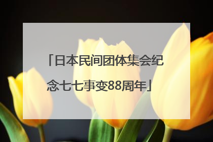 日本民间团体集会纪念七七事变88周年