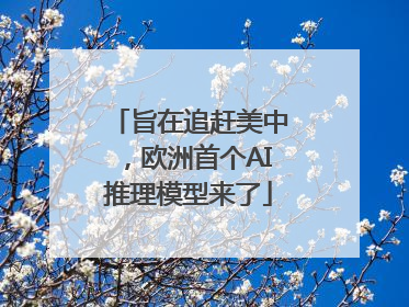 旨在追赶美中，欧洲首个AI推理模型来了